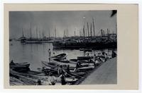 “The harbor”